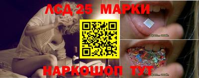 2c-b Кингисепп