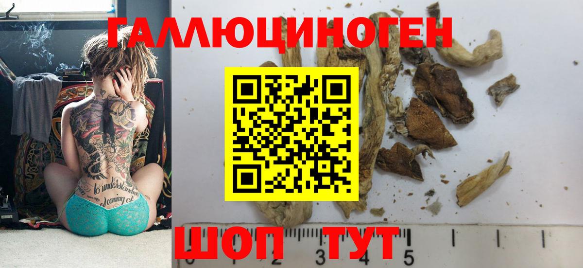 продажа наркотиков  Вход с VPN  Феодосия  Галлюциногенные грибы MAGIC MUSHROOMS 